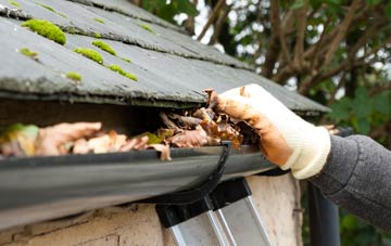 gutter cleaning Holmhead, East Ayrshire