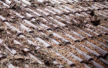 Holmhead roof cleaning companies